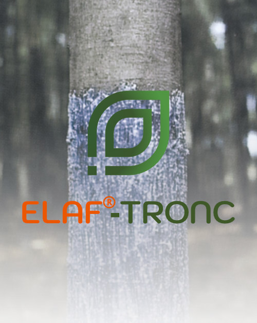 Protection des arbres en ville - ELAF-Solutions